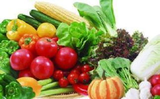 山西科普惠農(nóng)特色優(yōu)質(zhì)農(nóng)產(chǎn)品展銷會(huì)盛大開幕，花卉產(chǎn)業(yè)綻放異彩